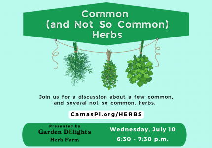 Common (and Not So Common) Herbs.  Wednesday, July 10, 6:30-7:30 p.m.