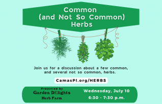 Common (and Not So Common) Herbs.  Wednesday, July 10, 6:30-7:30 p.m.