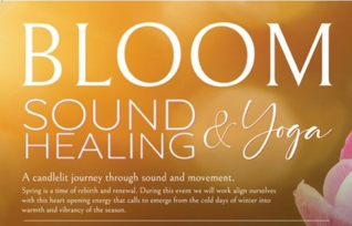 Bloom Soul Healing