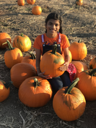 Picture of a girl in a pumpkin field.